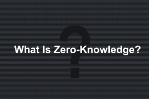 What Is Zero-Knowledge?